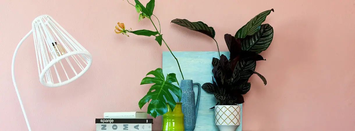 In gesprek met Fair Furniture over hun duurzame producten