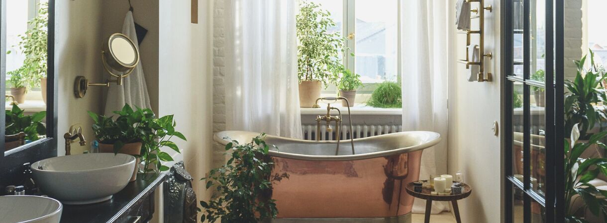 10x badkamer planten geschikt voor binnen