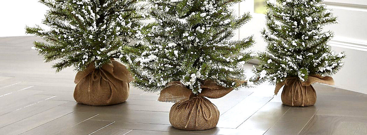 5 tips om duurzaam met je kerstboom om te gaan