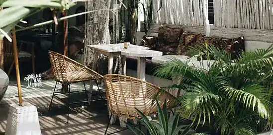 Groenblijvende planten: 5 planten voor een langdurige groene tuin