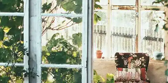 Snoeikalender: Wat te snoeien in augustus?