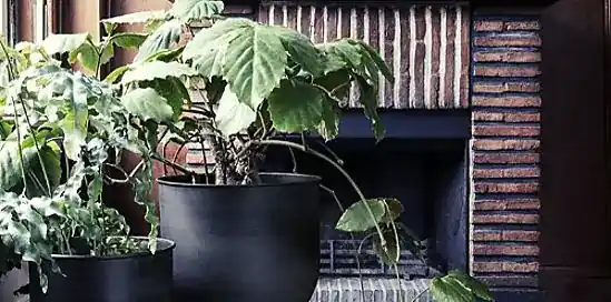 Koopgids: Hoe kies je een haard dat bij jou past?