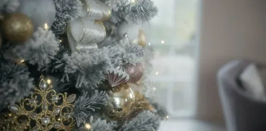 Kerstverlichting kiezen voor de boom en de gevel