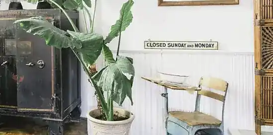 3x woontrends voor najaar 2018