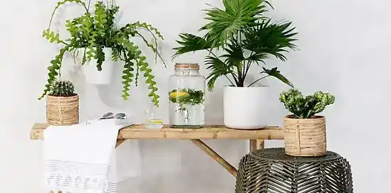 Dé favo tuintrend van 2018: natural living