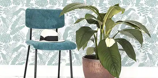 Behangsoorten: welk type moet je kiezen?