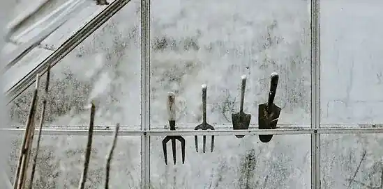 Snoeikalender: 6x wat te snoeien in april?