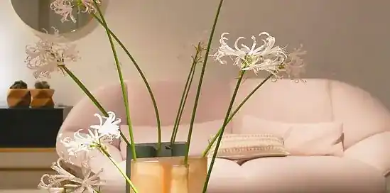 Met welke kleuren kun je de woonkamer het beste inrichten? 4 tips