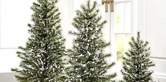 5 tips om duurzaam met je kerstboom om te gaan