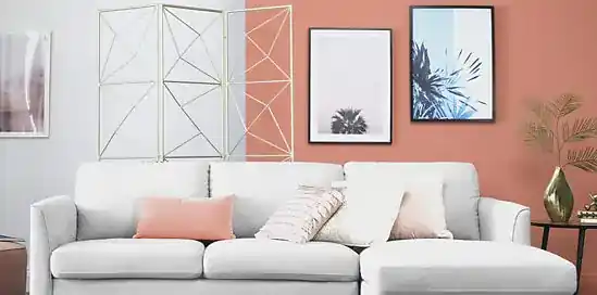 Verfkleur 2019: Living Coral