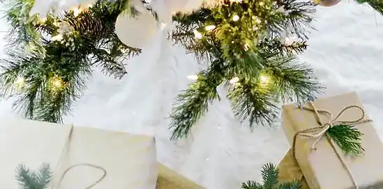 Hoe duurzaam ben jij met Kerst? Dit bleek uit ons Grote Kerstonderzoek