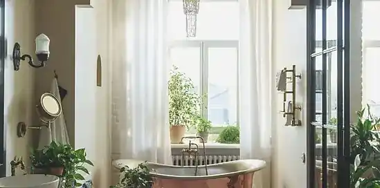 10x badkamer planten geschikt voor binnen