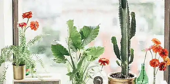 Bohemian interieur? Volg deze 5 stappen!