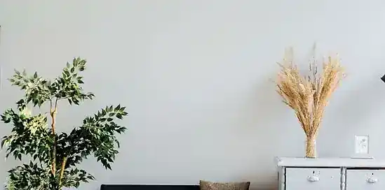 Deze 4 woontrends van 2020 mag je echt niet missen!