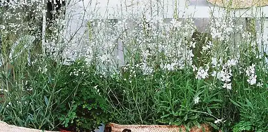 Tuinideeën: 4x inspiratie voor een lente make-over