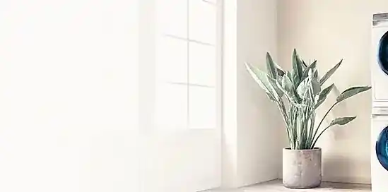 Even spieken: zo doe je was!