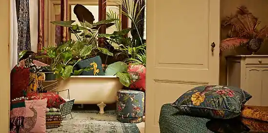 Haal de jungle in huis met Sissy-Boy Homeland!