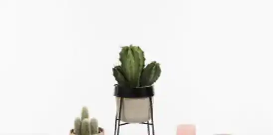 Shop de leukste HEMA woonaccessoires met korting!