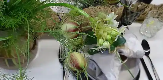 WIN / 5x shoptegoed van vtwonen