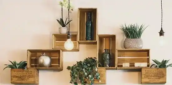 Dit zijn de 5 populairste kamerplanten deze zomer