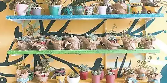 Welke huis planten passen volgens jouw sterrenbeeld bij jou?