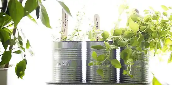 Eten uit de volkstuin? Lees de easy oogstkalender