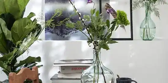 Mooie kamerplanten: 4x de trends voor 2019