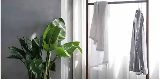 3x waarom automatische raamdecoratie je leven easy maakt