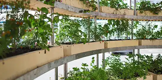 IKEA's trots Space10 lanceert de Kweektuin