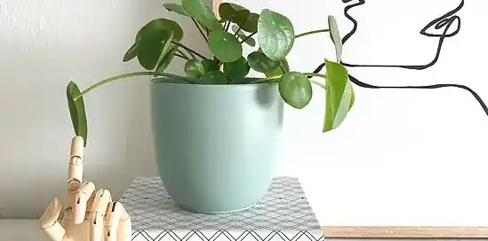 De trendkleur van dit voorjaar past in elk interieur