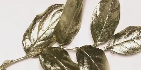 Nieuwjaarsdag: 4x gezellige activiteiten om 2019 mee te beginnen