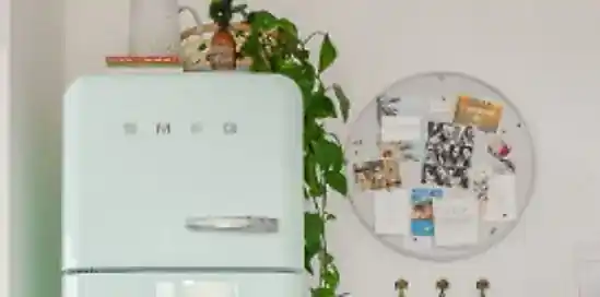 Dit is de beste manier om je koelkast in te richten