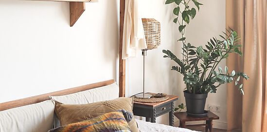 Planten slaapkamer: 5x planten voor een betere nachtrust