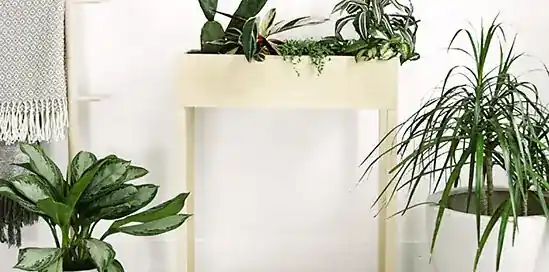 DIY: een houten plantenbak maken