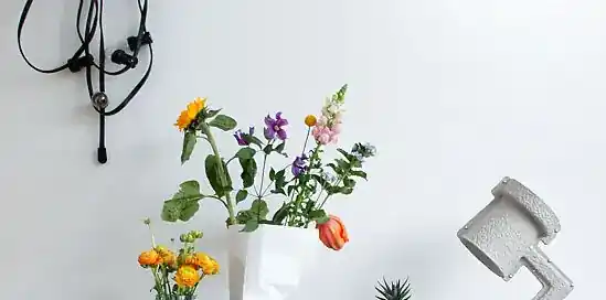 5 basistips om van jouw huis een thuis te maken