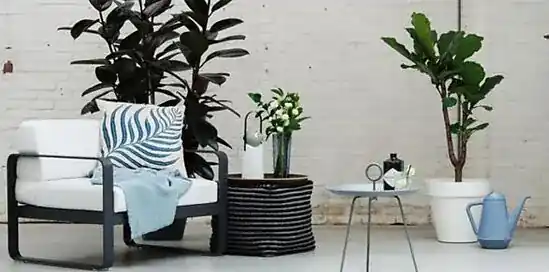 De Scandinavische tuin: 4 tuintips