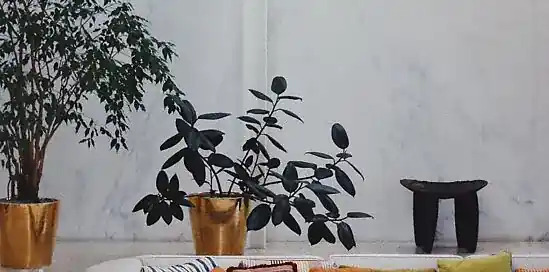 Hoe voorkom ik een winterdip?