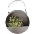 wand bloempotten