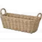 rotan