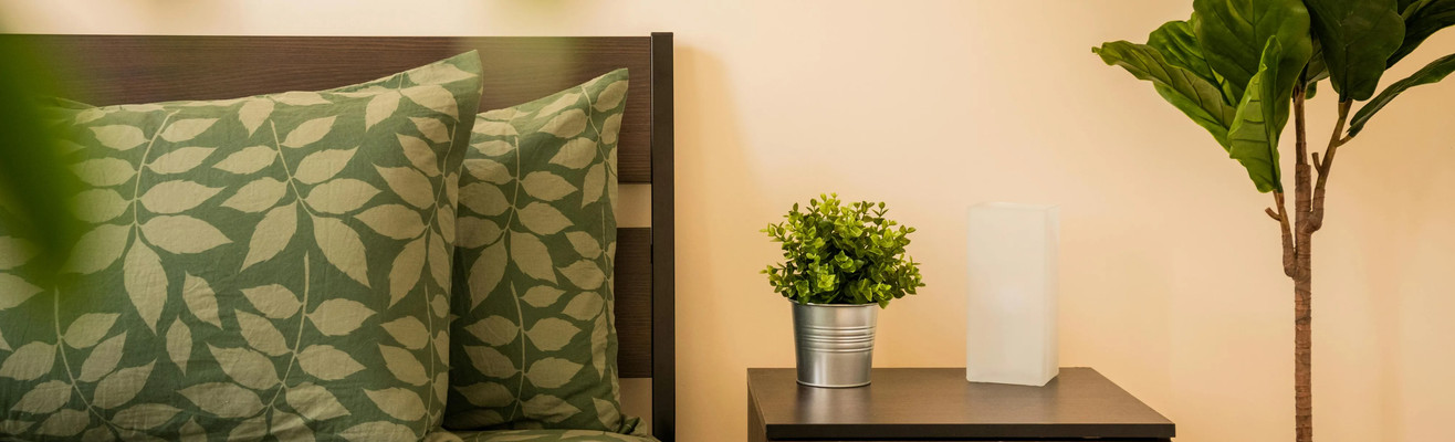 Nieuw jaar, nieuw interieur! Ontdek ongeëvenaarde aanbiedingen op het gebied van Home & Decor.