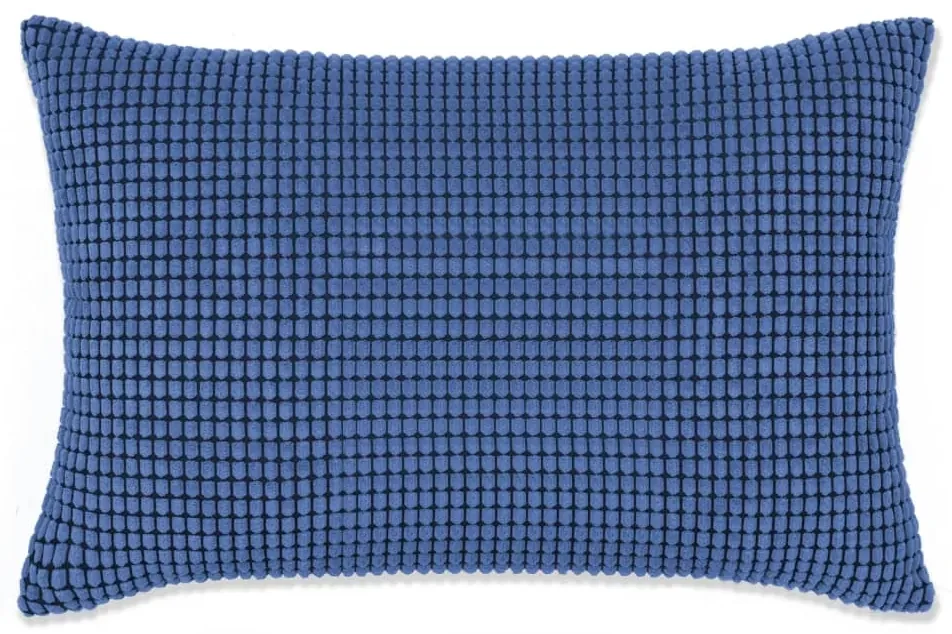 vidaXL Sierkussenset 40x60 cm velours blauw 2-delig