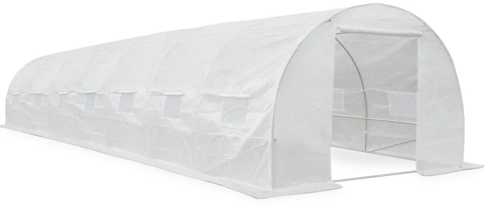 Witte folietunnel 3x10m Tuinpunt