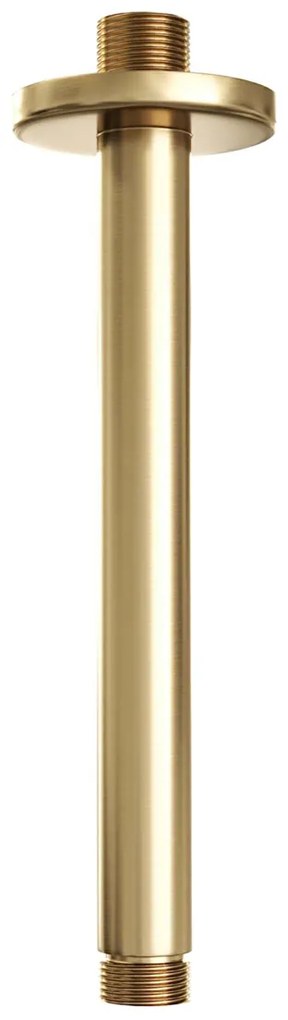 Brauer Stripe inbouw regendouche rond met 25cm hoofddouche, rond met plafondarm, glijstang en staafhanddouche set 45 messing geborsteld PVD