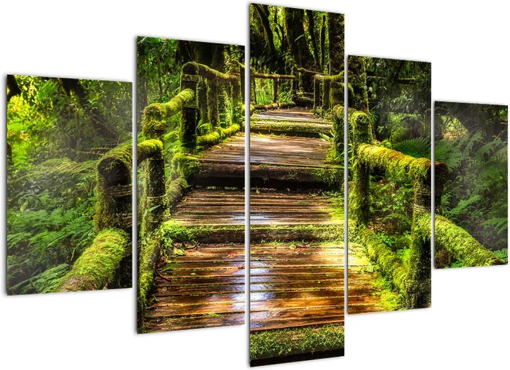 Schilderij - Trap in regenwoud (150x105 cm), 40 andere afmetingen