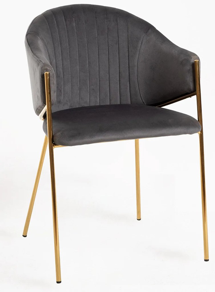 Elegan Stoel Fluweel
