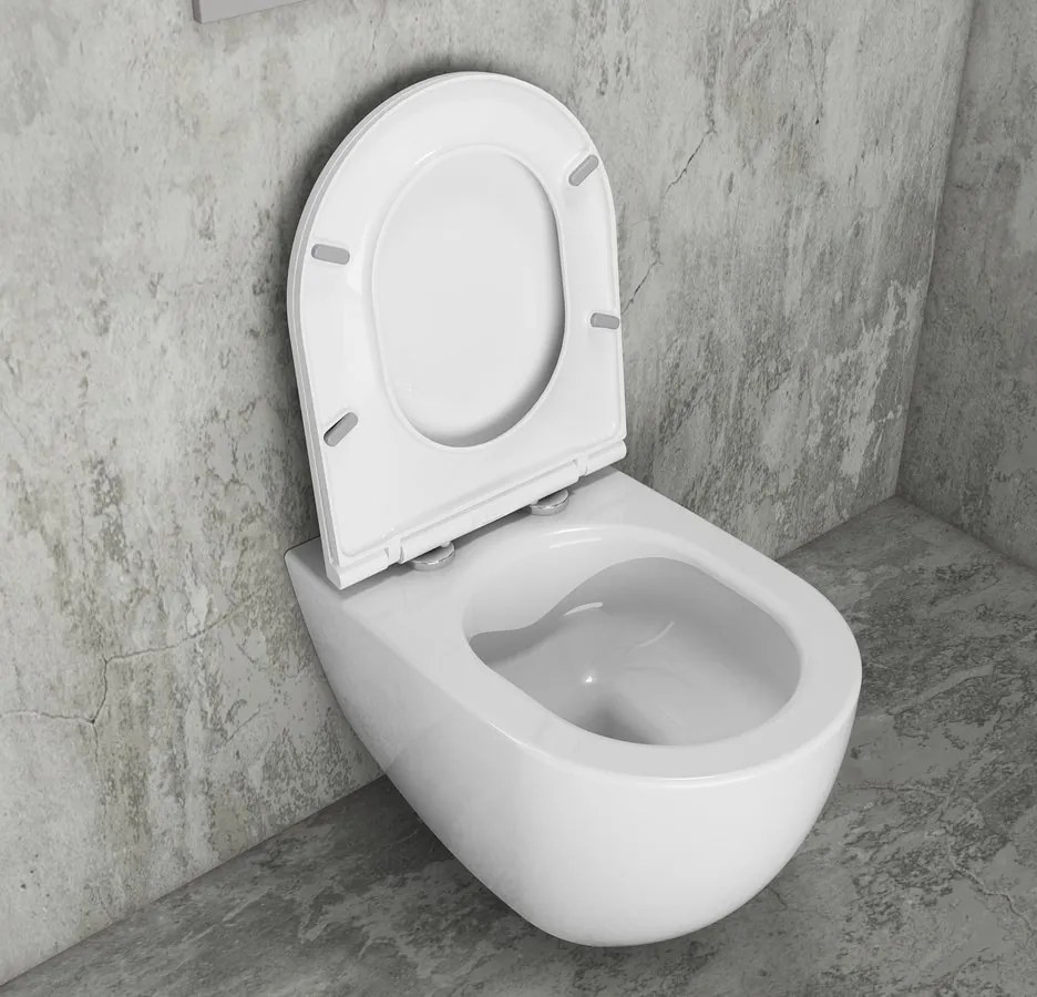 Sapho Infinity toiletpot randloos met softclose zitting wit