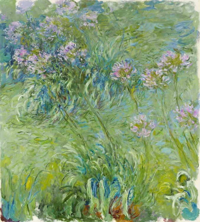 Kunstreproductie Agapanthus (1914–26), Claude Monet