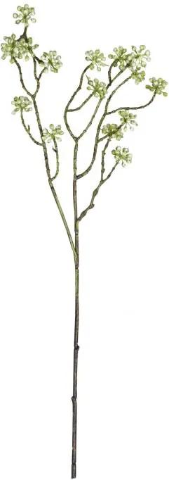 Arborescens Groen 60 cm