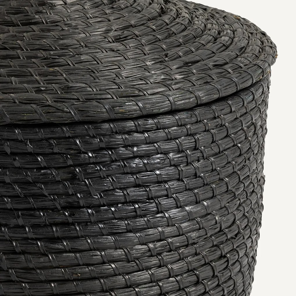 Mand met deksel, in herbarium , Honoka