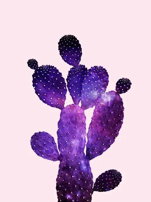 Universal Cactus
